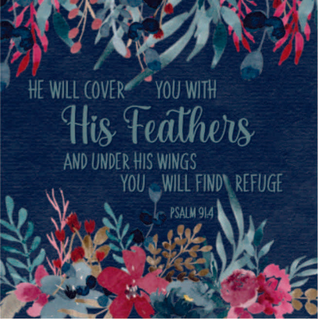 Psalm 91- He will cover you
