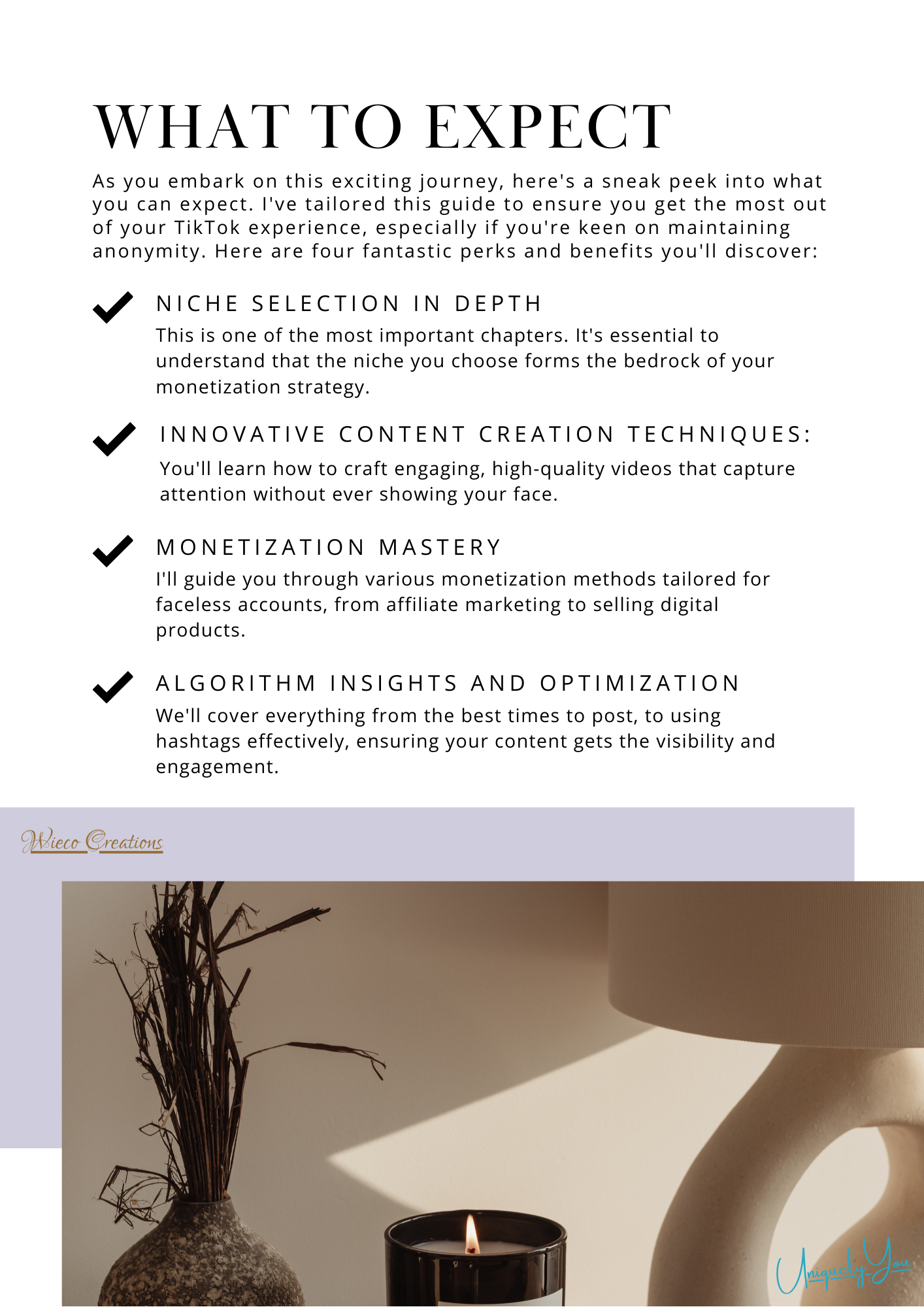 Faceless TikTok Playbook