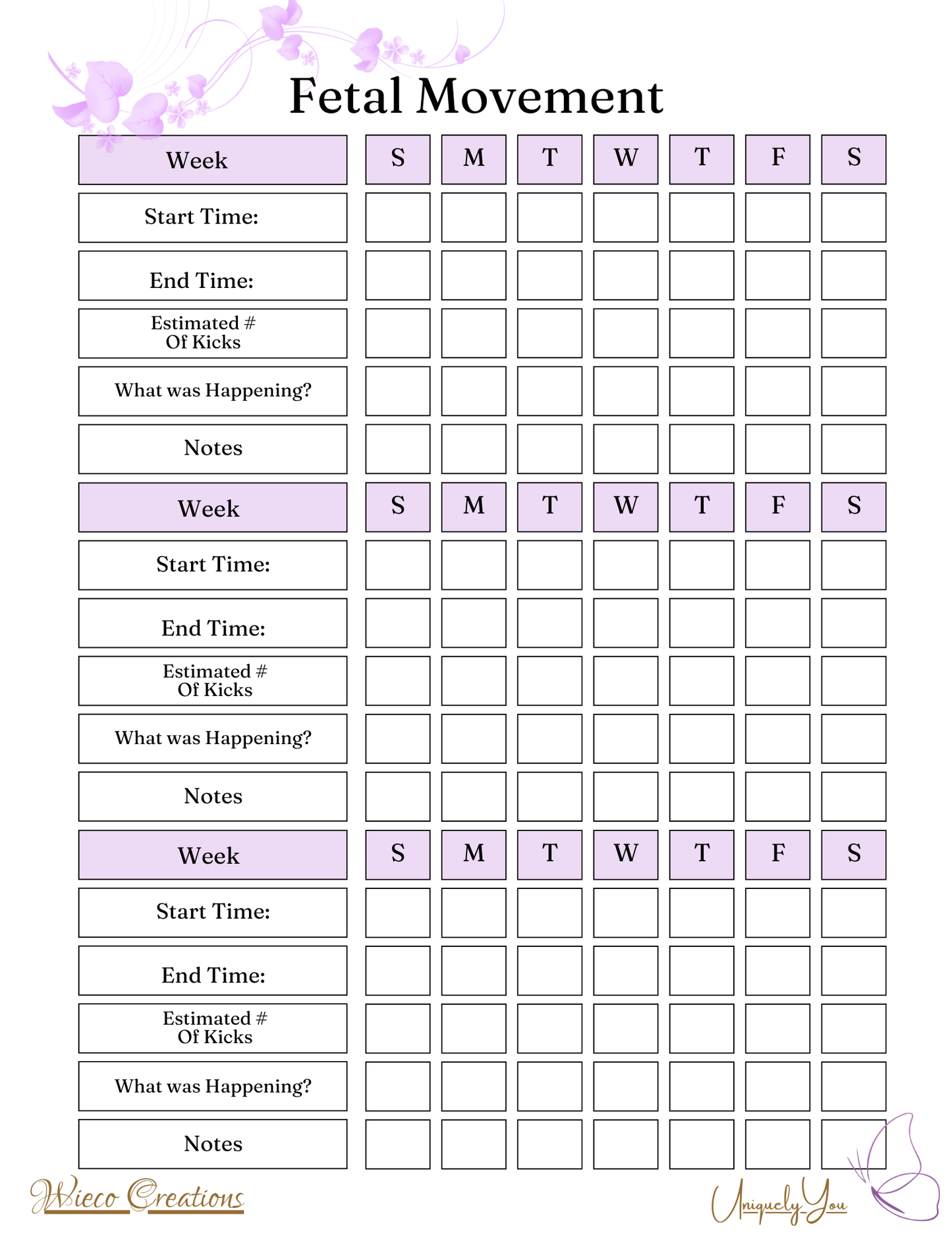 Pregnancy Journal with weekly info