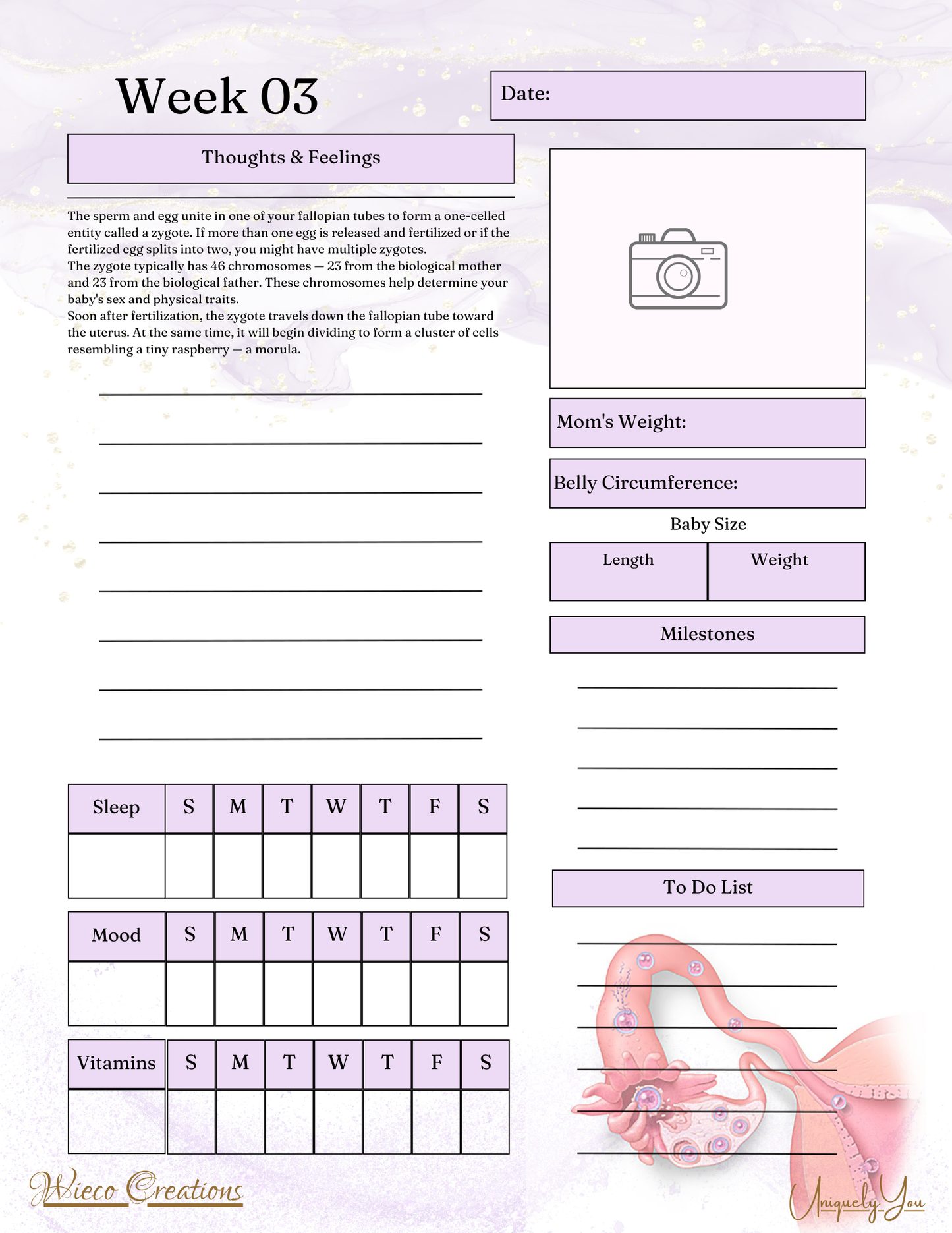 Pregnancy Journal with weekly info